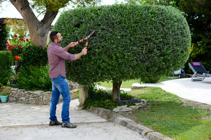 Bush Trimming Service in Honolulu, HI