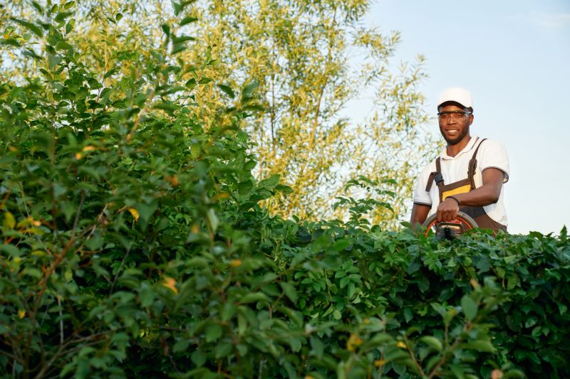 Commercial Shrub Trimming in Rockwall, TX