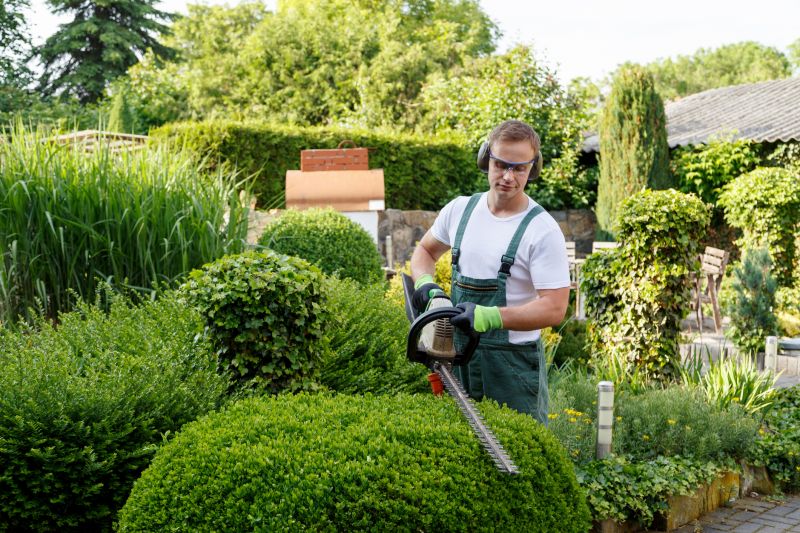 Shrub Shaping