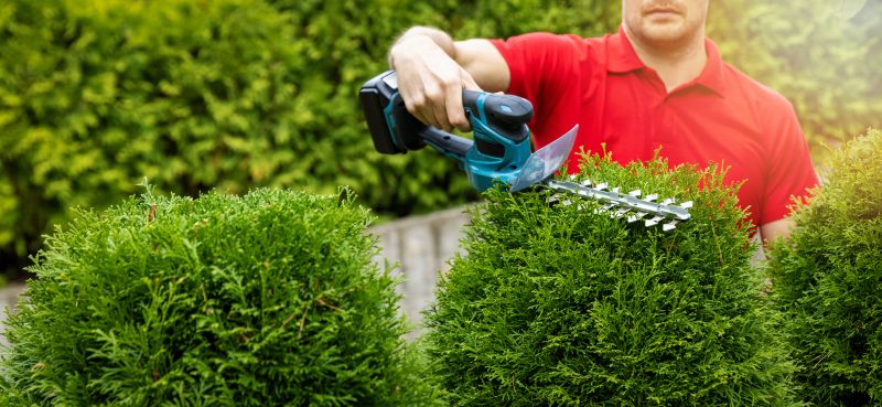 Hedge Trimming in Ventura County, CA