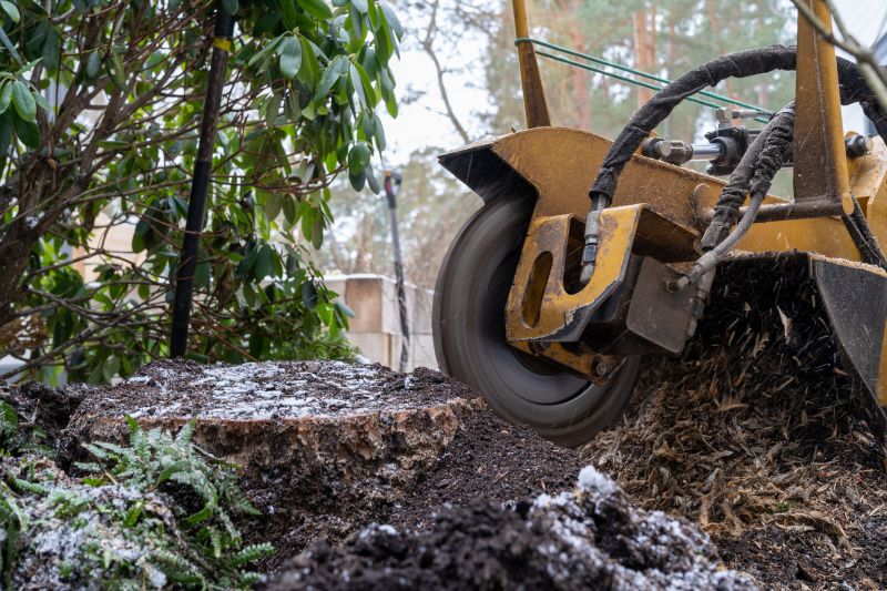 Stump Grinding Service in Waldorf, MD