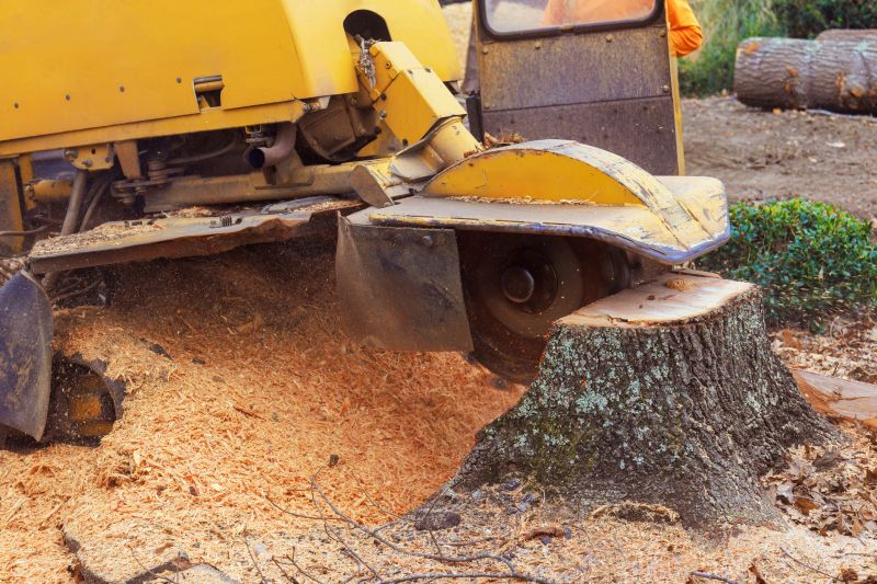 Tree Stump Removal in Waldorf, MD